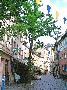 CIMG6984.JPG