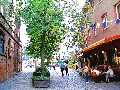 CIMG6985.JPG