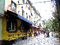 CIMG6986.JPG